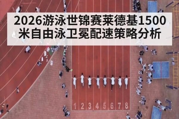 2026游泳世锦赛莱德基1500米自由泳卫冕配速策略分析